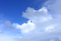 雲