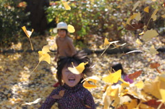 子供に銀杏を投げつけられる