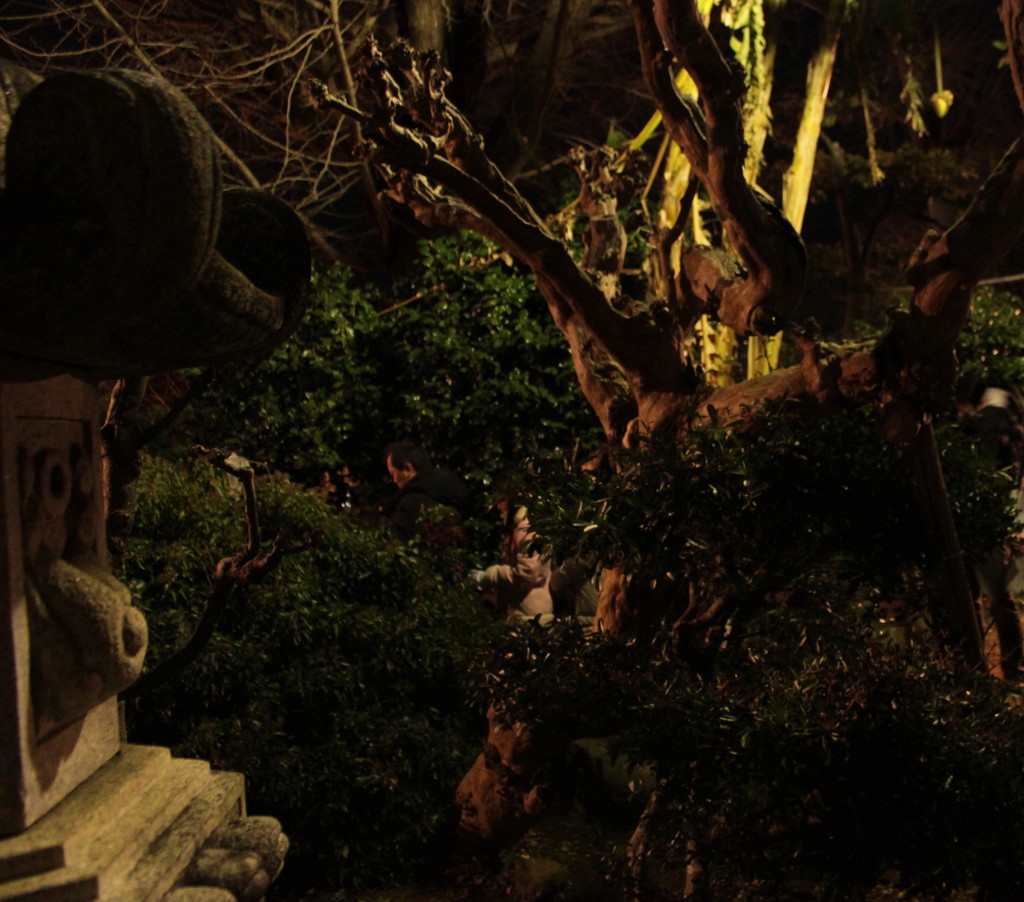 近くの神社