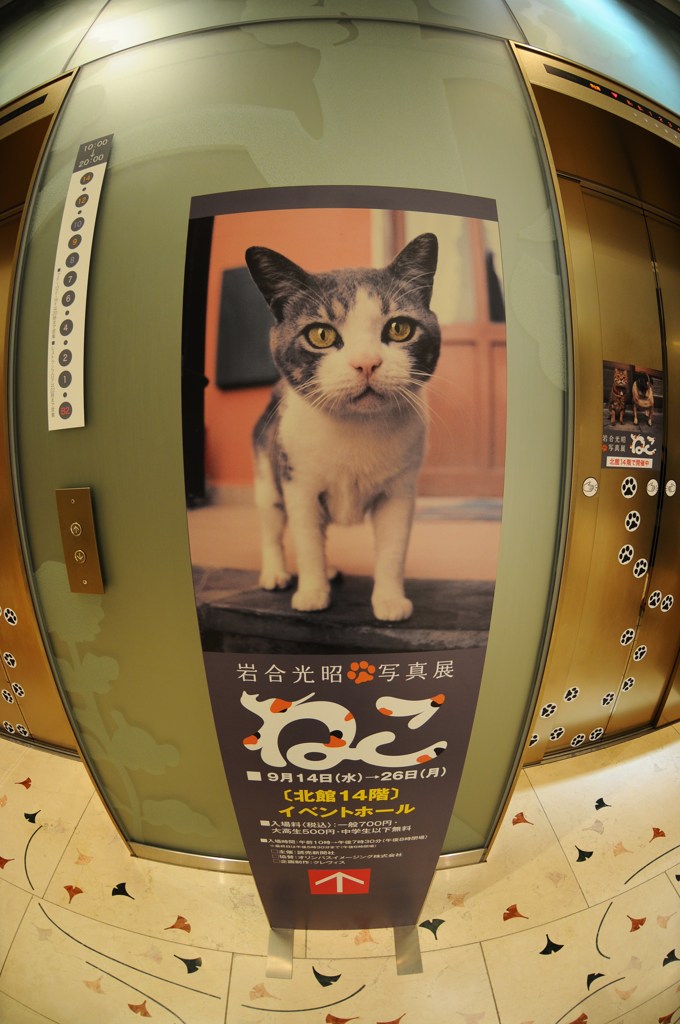 ねこパラダイスは14階です^^