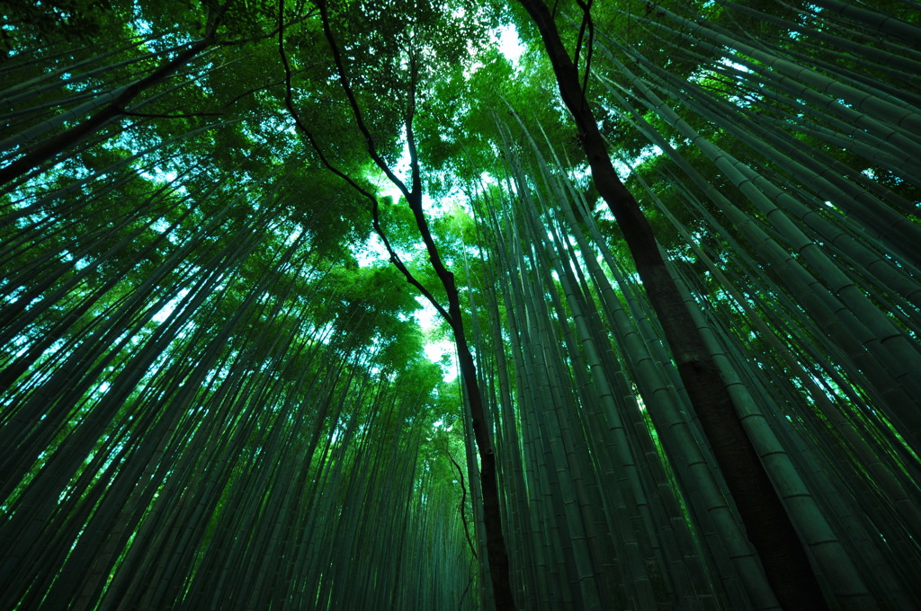 天高く