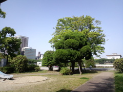 公園