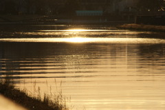 DSC00590