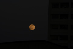 DSC00609