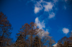 あまりにも蒼い空。