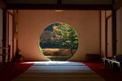 北鎌倉・明月院