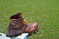 相棒のredwing
