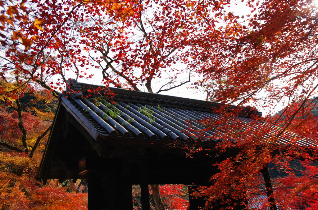 黒門（初投稿）