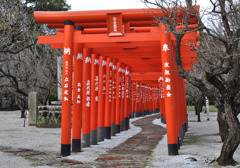 朱