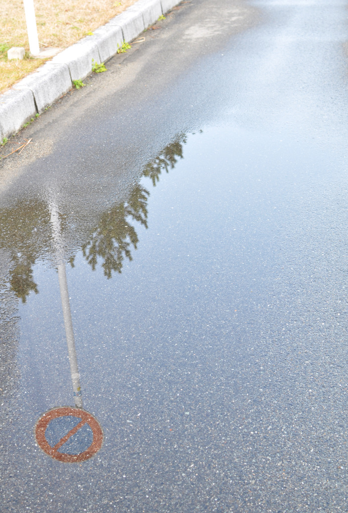 雨上がり