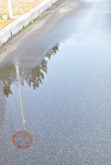雨上がり
