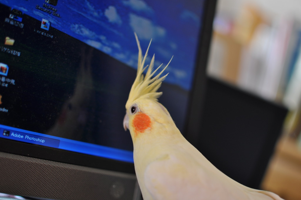 私もできるもん！その2