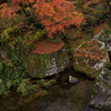 見下ろしても紅葉