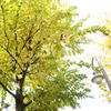 開園
