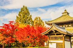 東福寺