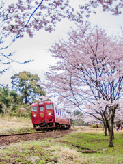 春のいさぶろう・しんぺい号