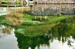 湧水