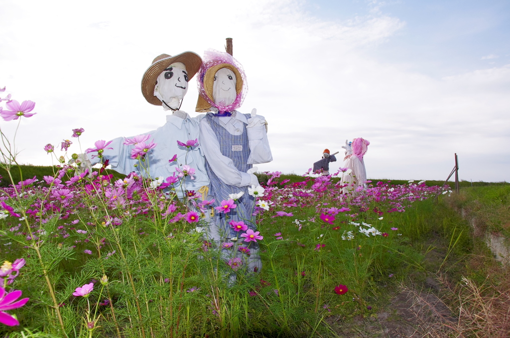 仲良き夫婦に花が咲く