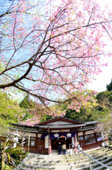 藤川天神の春
