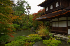 銀閣寺　紅葉