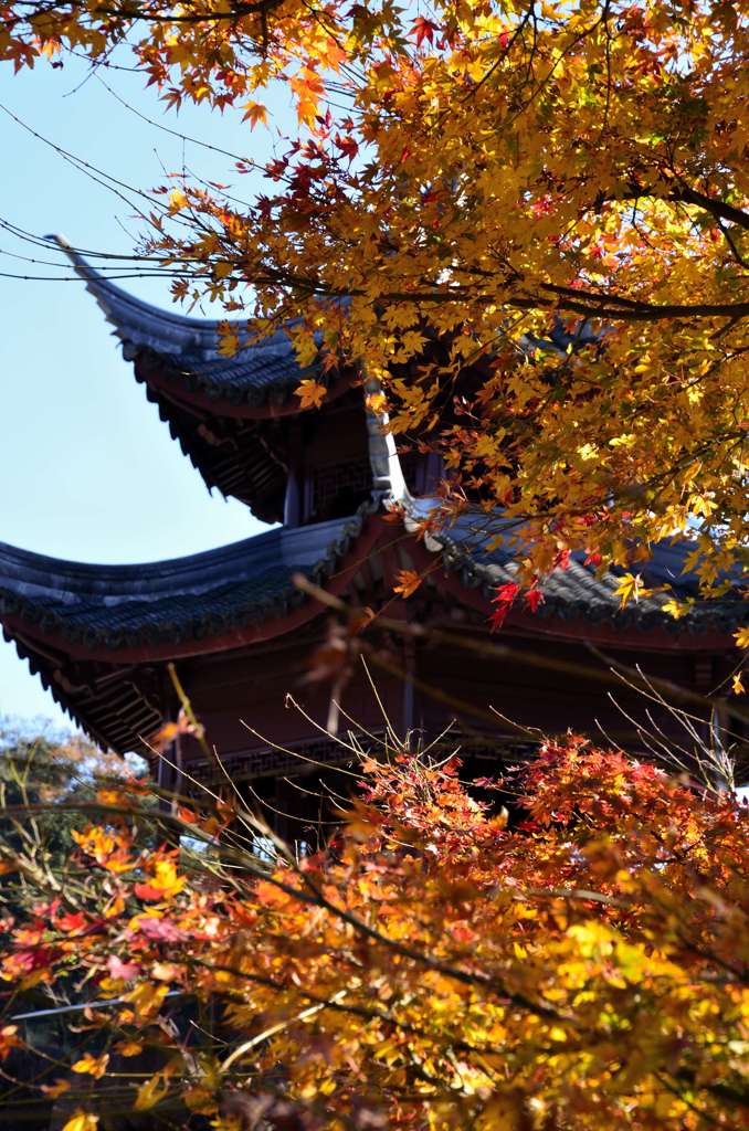 冠獄④