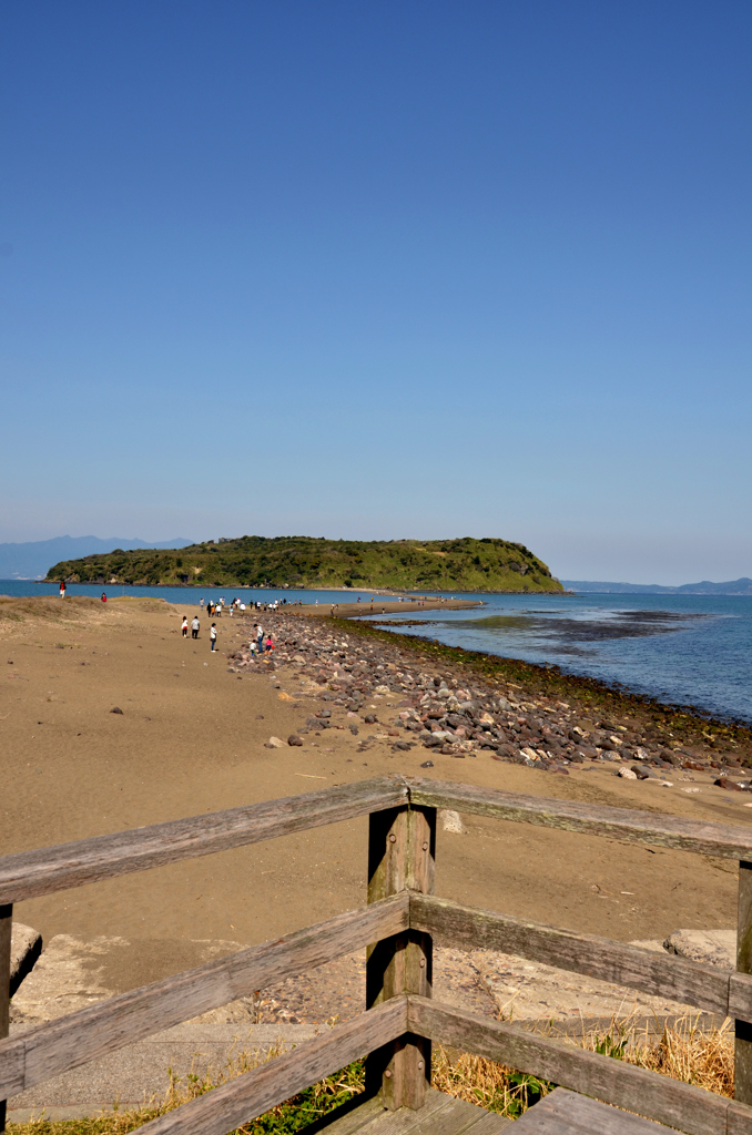 知林ヶ島
