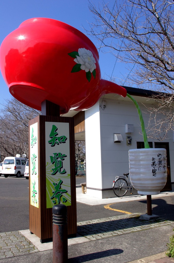 い～っ杯いかが