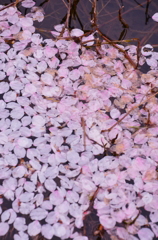 去り行く