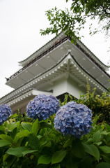 梅雨の天守閣