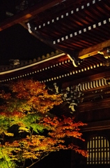 永観堂のもみじ