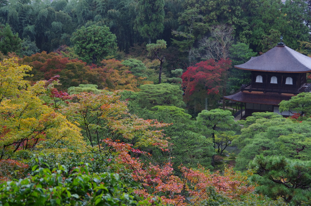 秋の銀閣寺
