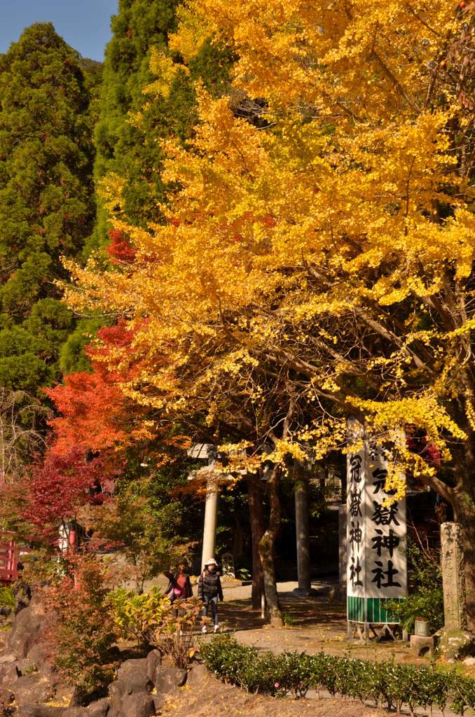 冠獄神社