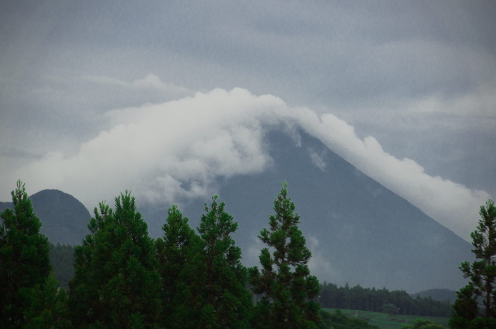 テーブルクロス