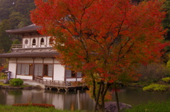 紅葉の桜の屋形