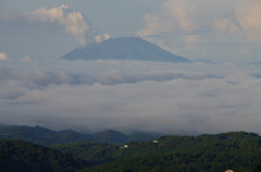 今日も元気な桜島