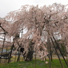IMG_4050 (1)
