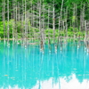 青い池