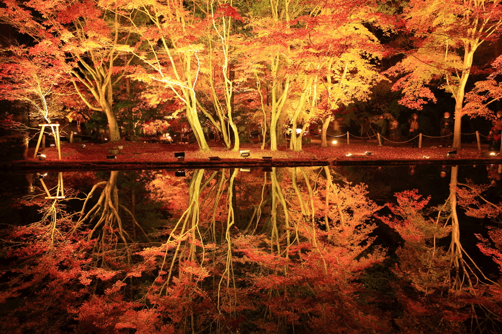 曽木公園 2012