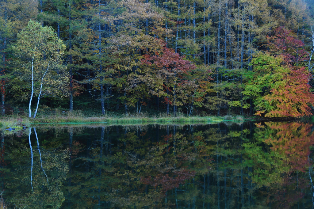 秋の静寂