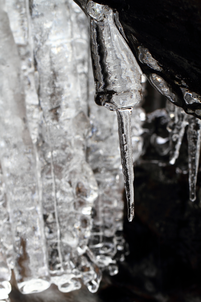 アイススティンガー