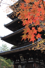 五重塔と紅葉