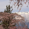春を待つ宝剣岳