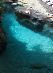 ＡＤＥＲＡ　BLUE