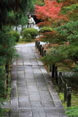 秋を探して