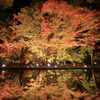 曽木公園 2016