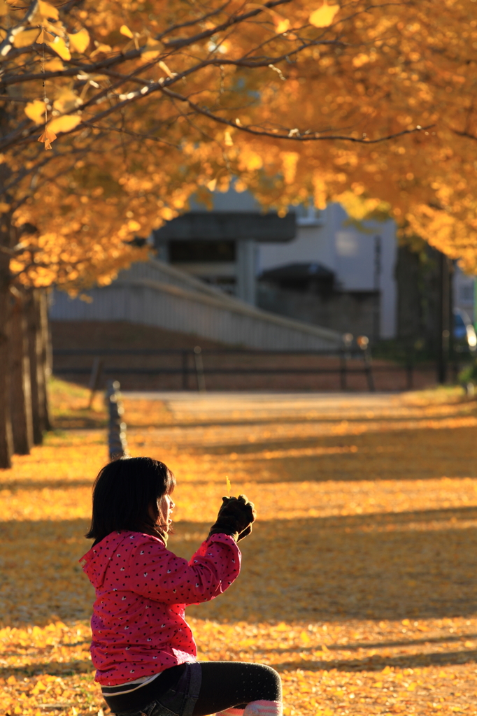 朝の遊び
