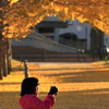 朝の遊び