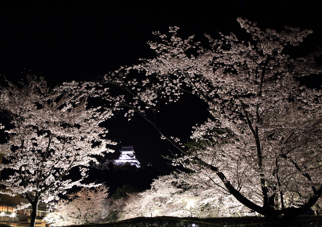 桜の中に