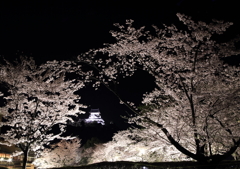 桜の中に