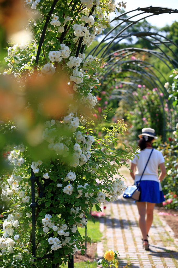 花道